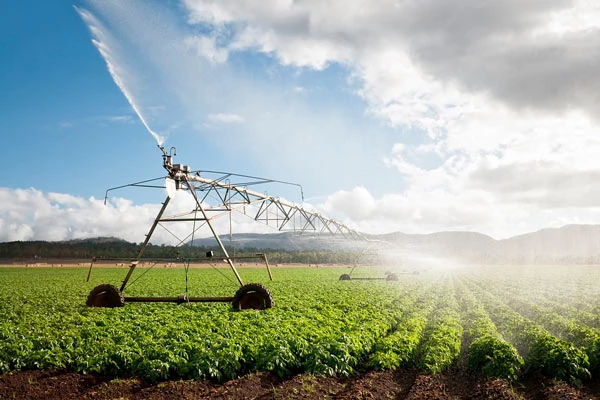 Agroexportación AESM